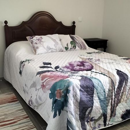 הוילה Carregosa Casa, T3 Porto-Aveiro מראה חיצוני תמונה